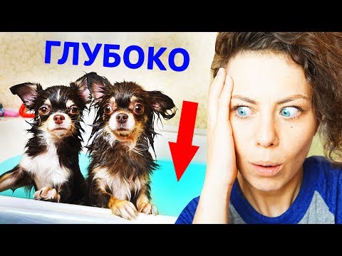 Мэджик Фэмили 2022 Год Новые Серии Мэджик Фэмили 2022 Год Новые Серии